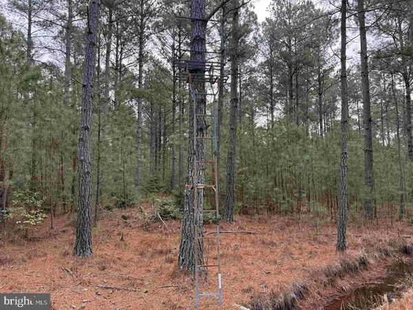 $405,000 | 14 (tract Tanager Et2-2050), North, VA 23128