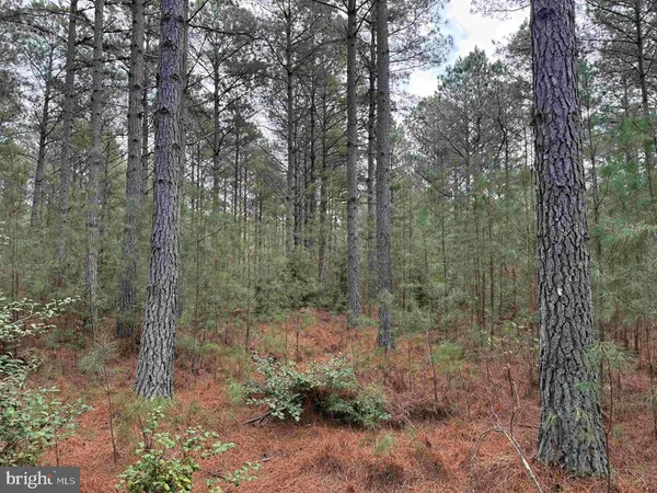 $405,000 | 14 (tract Tanager Et2-2050), North, VA 23128