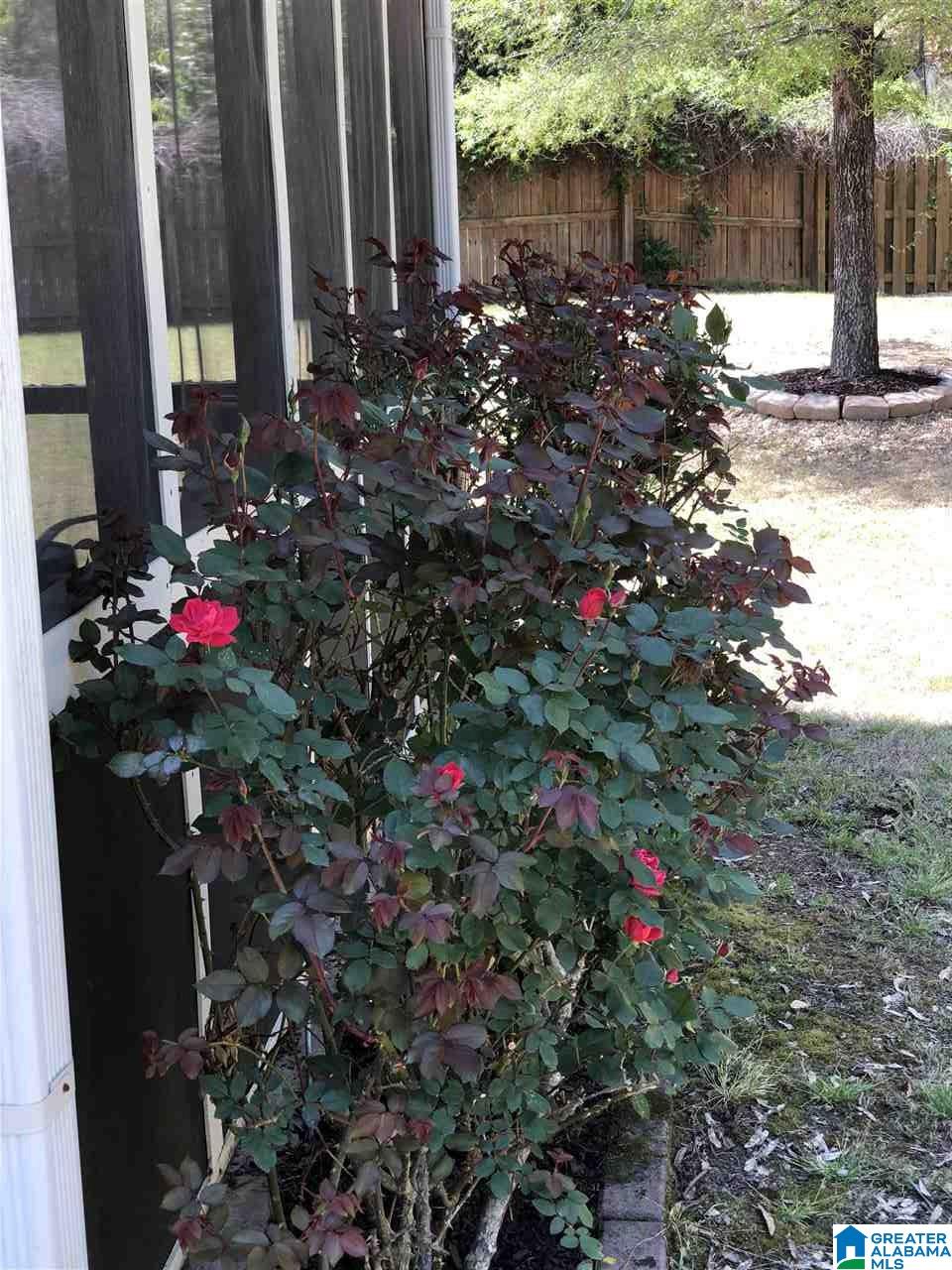 201 Cove Lane Pelham, AL 35124 - Photo 34 of 41