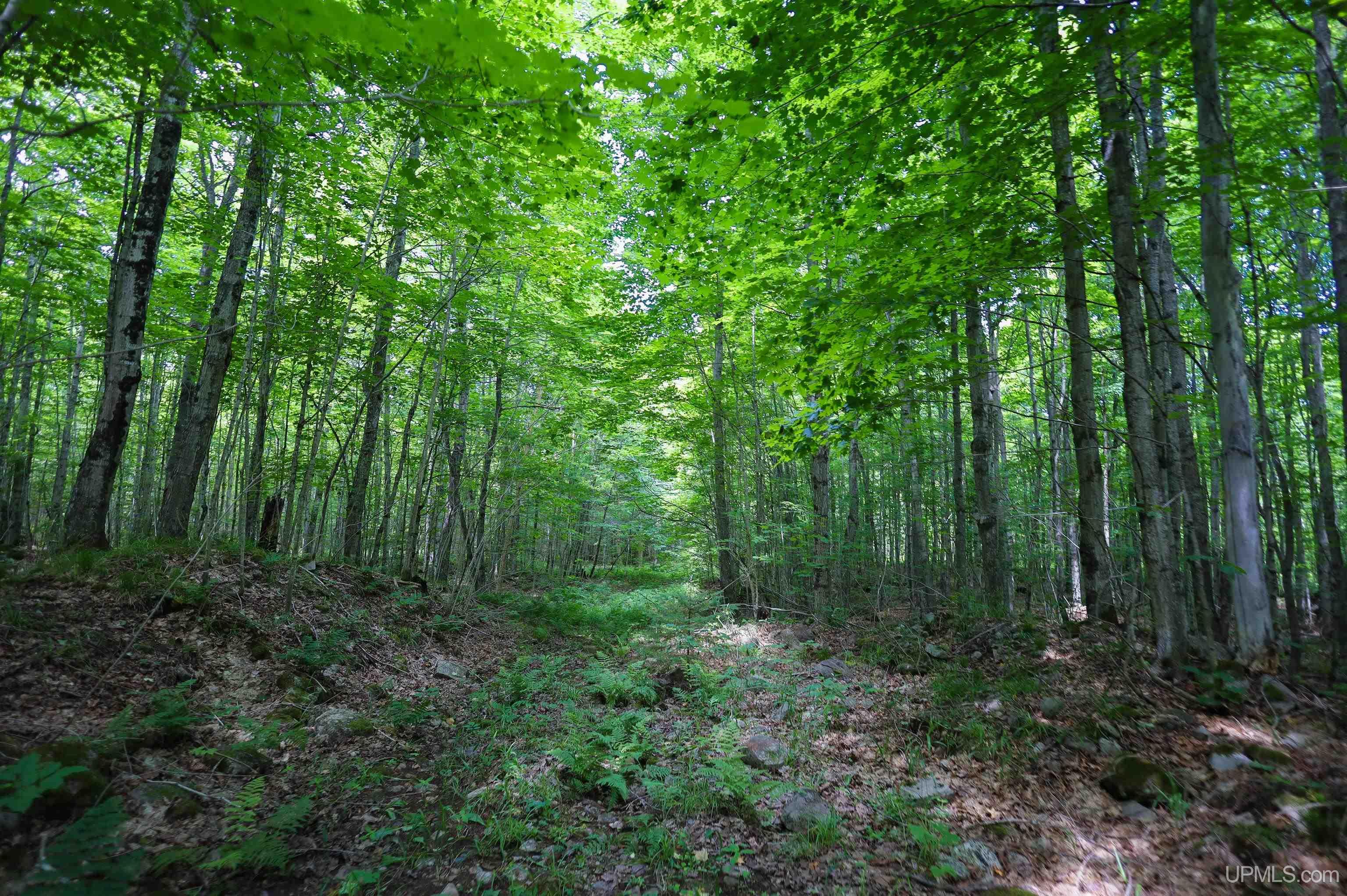 Tbd Sigan Road Marquette, MI 49855 - Photo 20 of 32