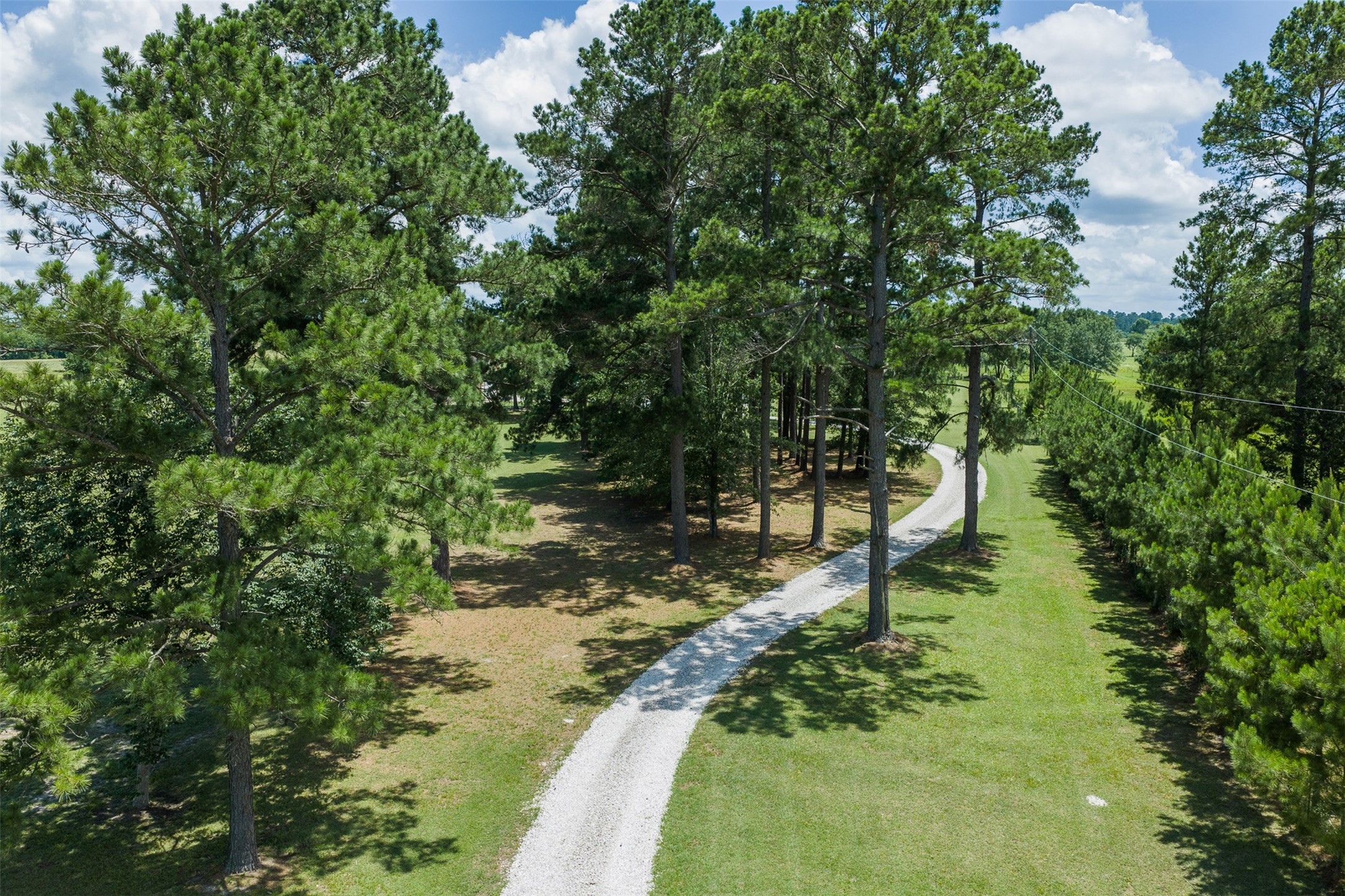 237 Morgan Road Bedias, TX 77831 - Photo 37 of 50