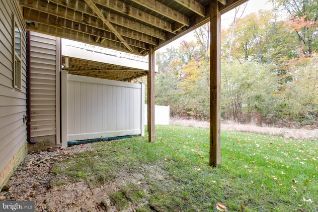 a view of backyard with large trees and plants