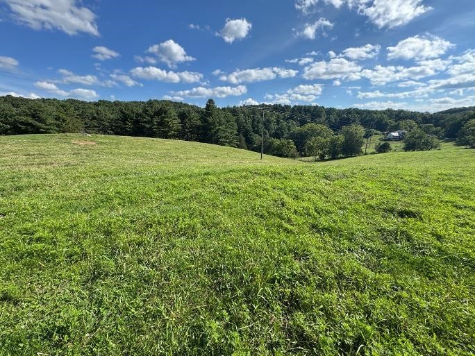 Tbd Pleasantview Road Austinville, VA 24312 - Photo 4 of 25 Gallery Image 4
