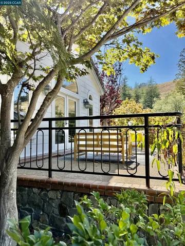 a view of a garden with a tree