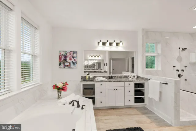 a view of a yard with plants and a large tree