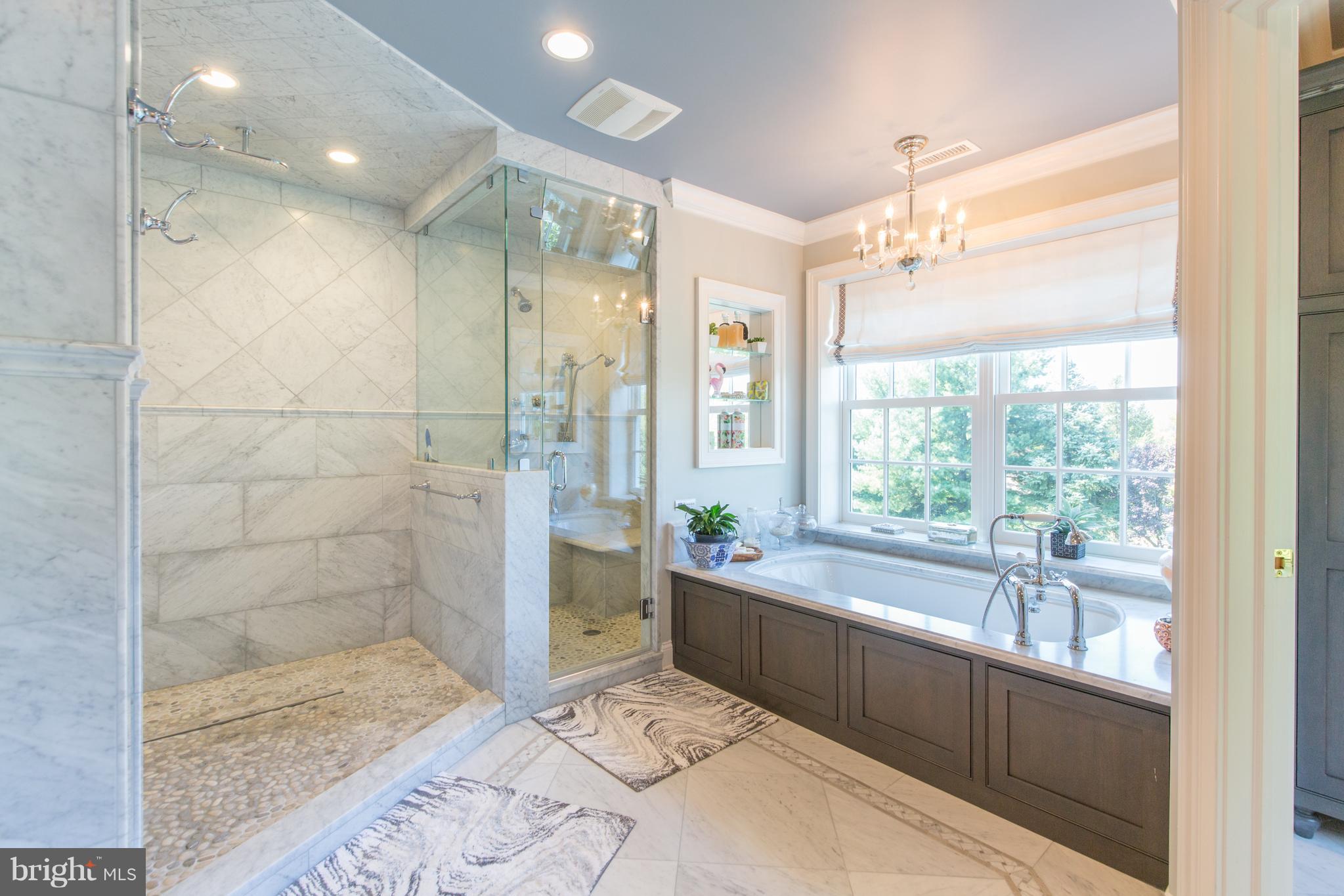 50 Woodhill Road Newtown, PA 18940 - Photo 16 of 43 Walk in shower plus separate steam shower