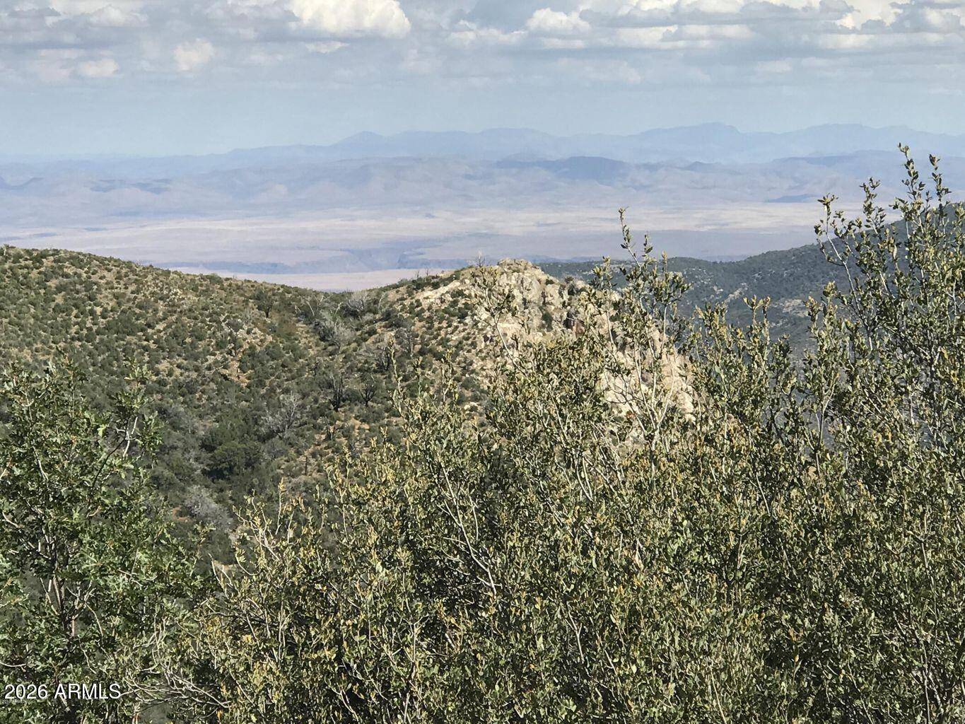 22431 Gladiator Mine Road Crown King, AZ 86343 - Photo 4 of 9 a view of a yard and mountain view