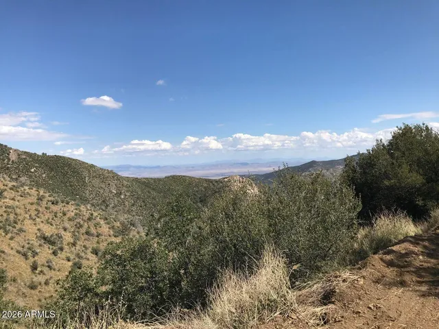 a view of a yard with snow on the road