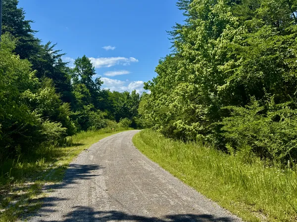 $25,000 | 1 Teludachee Trail, Guild, TN 37340