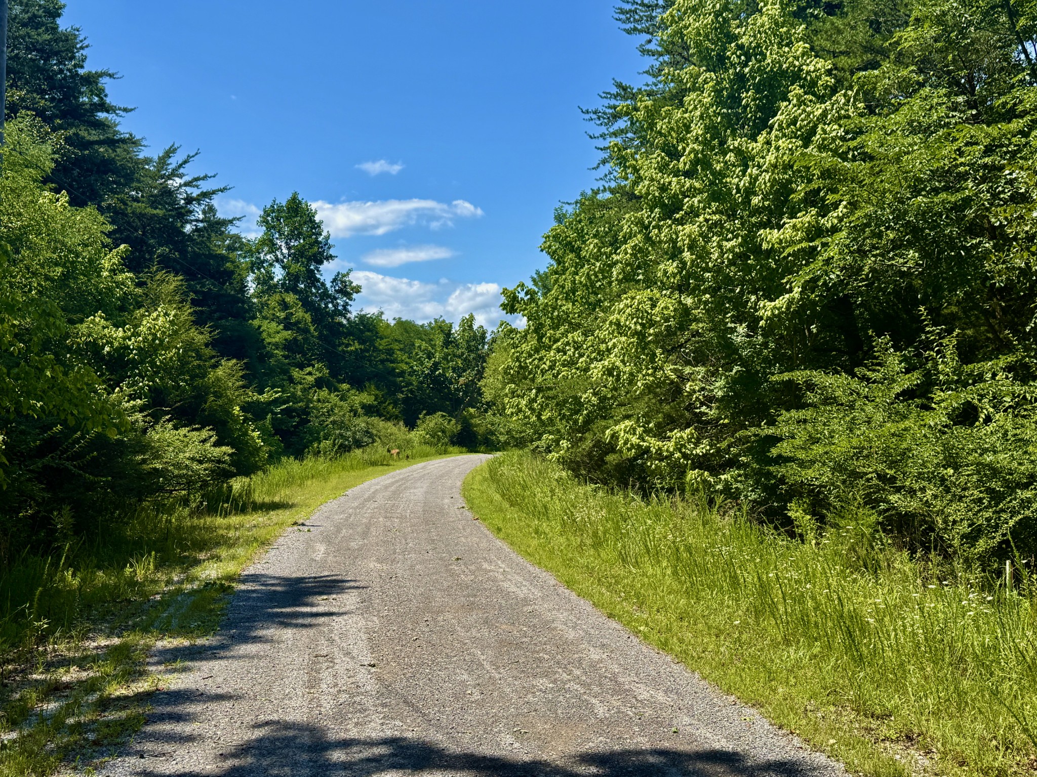 1 Teludachee Trail Guild, TN 37340 - Photo 1 of 15