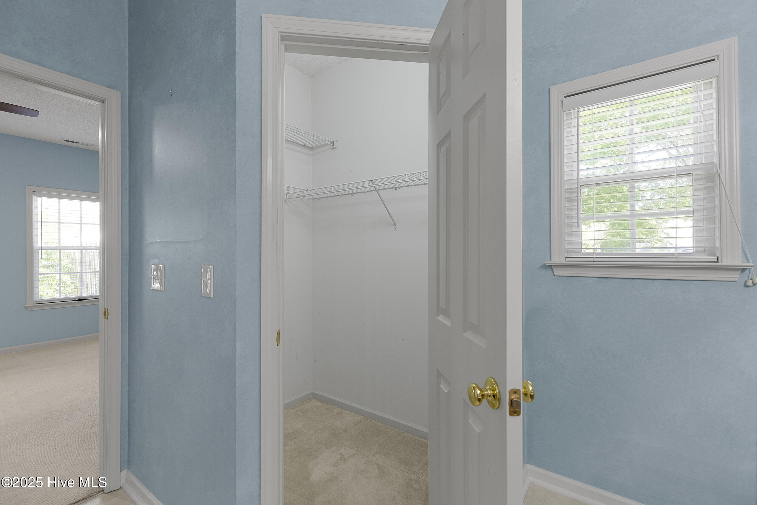 6806 Teviot Road Wilmington, NC 28412 - Photo 27 of 42 Teviot6806-11clstShaneL33A0557-CR2