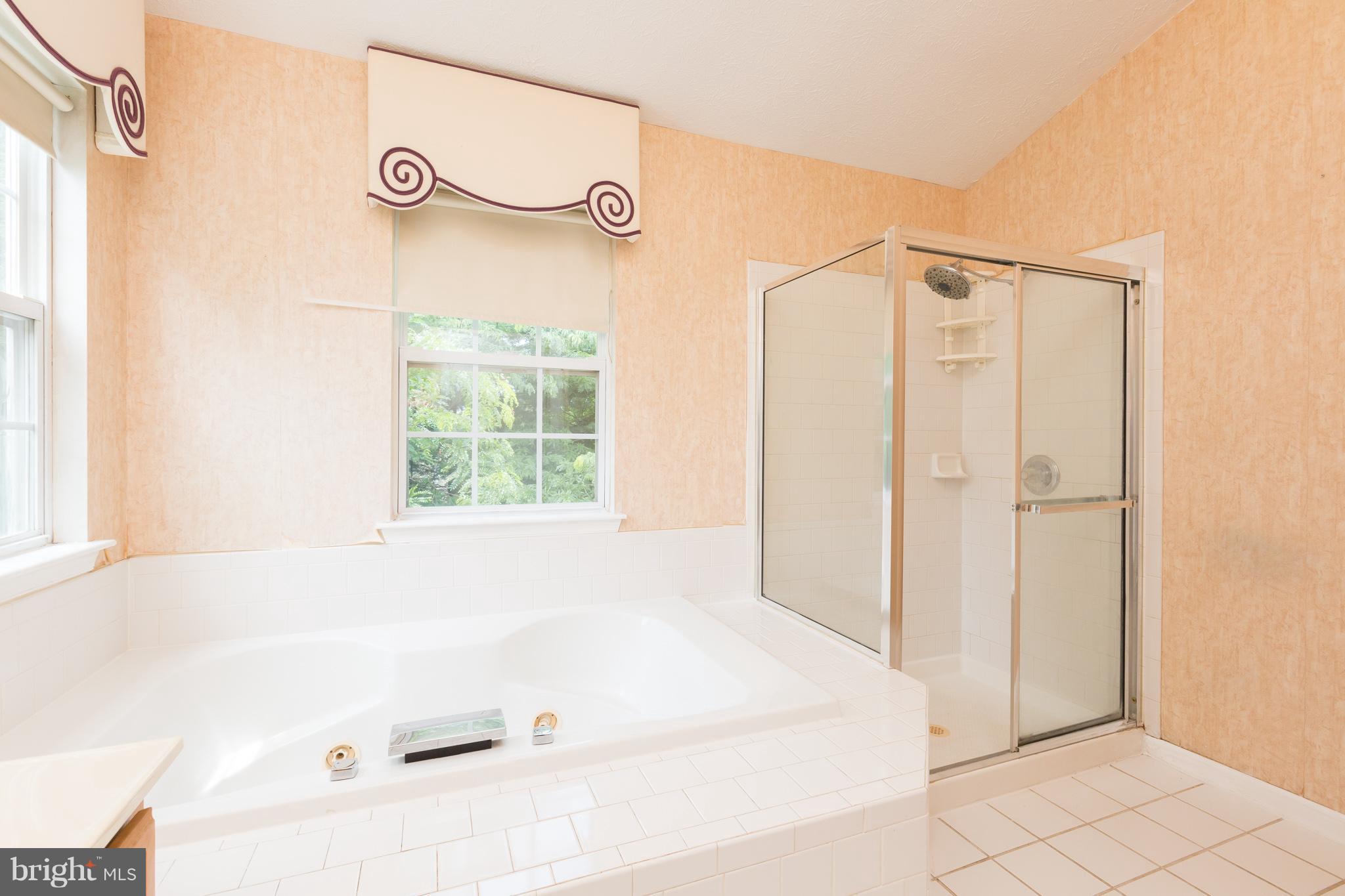 3100 Needleleaf Lane Springdale, MD 20721 - Photo 22 of 28 Bath (Master)