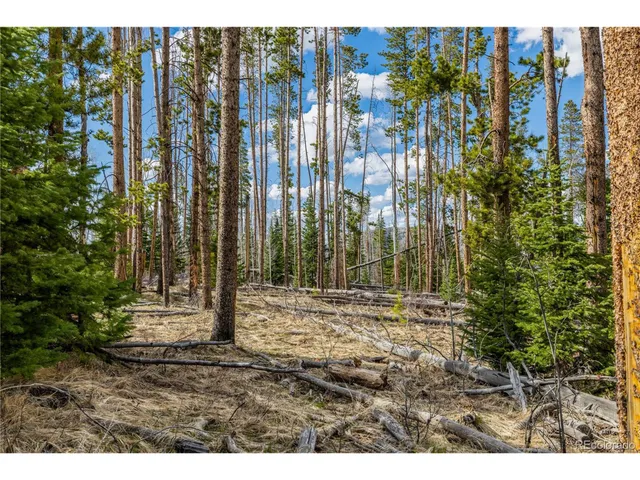 a view of outdoor space with street view