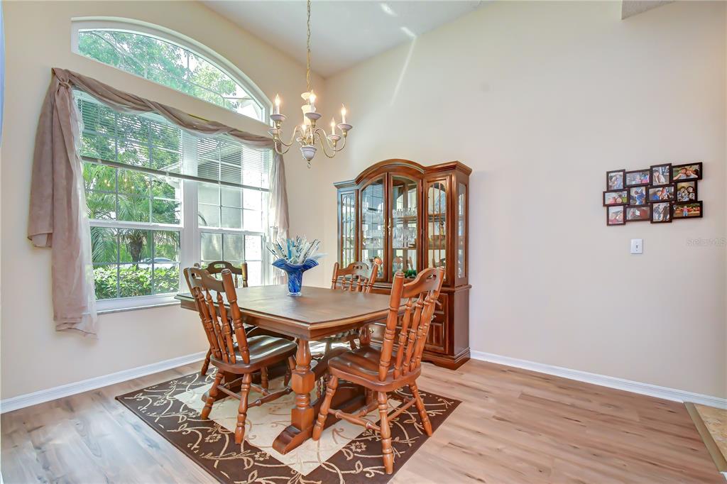 4916 Willow Ridge Terrace Valrico, FL 33596 - Photo 7 of 38