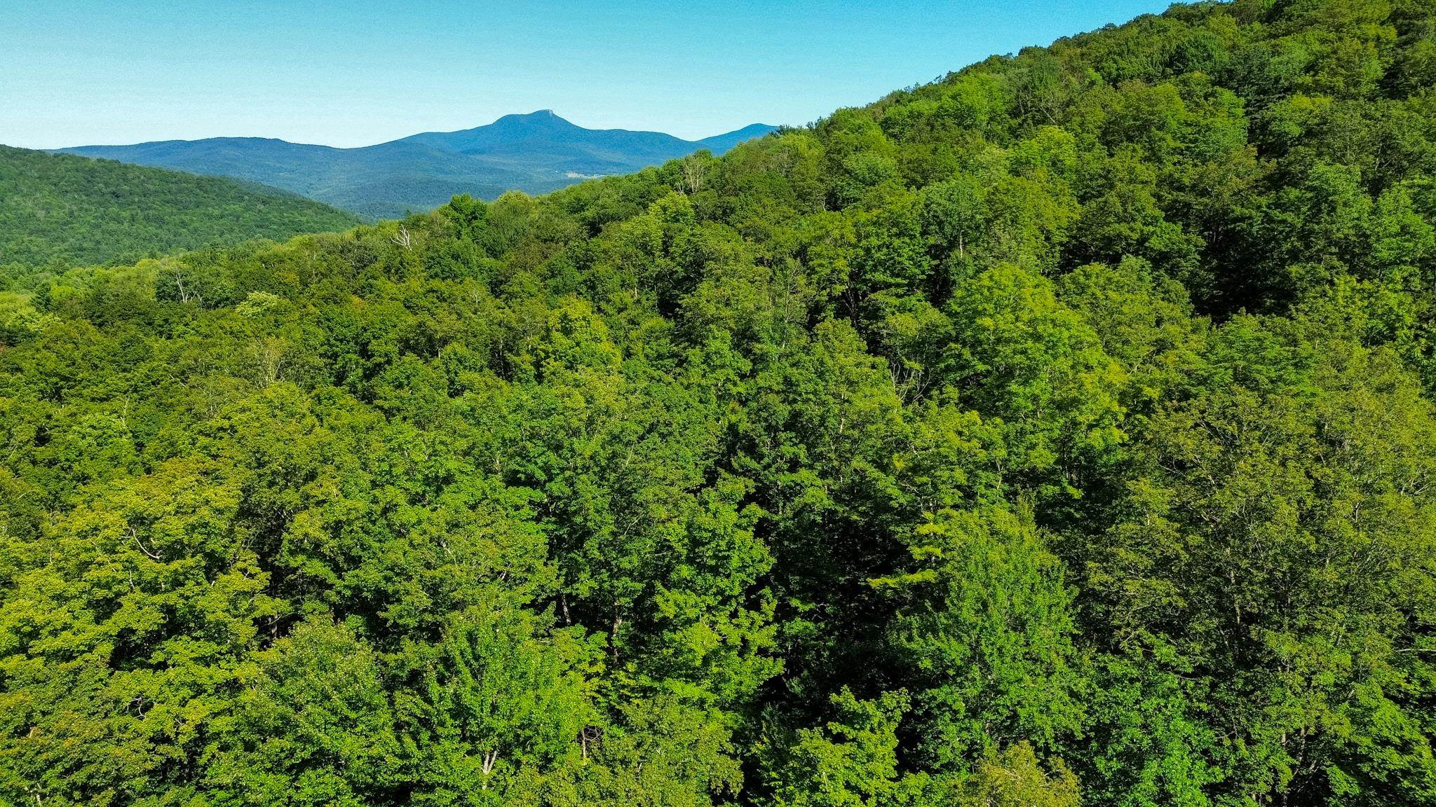 0 Beaver Pond Road Hinesburg, VT 05461 - Photo 13 of 16 Gallery Image 13