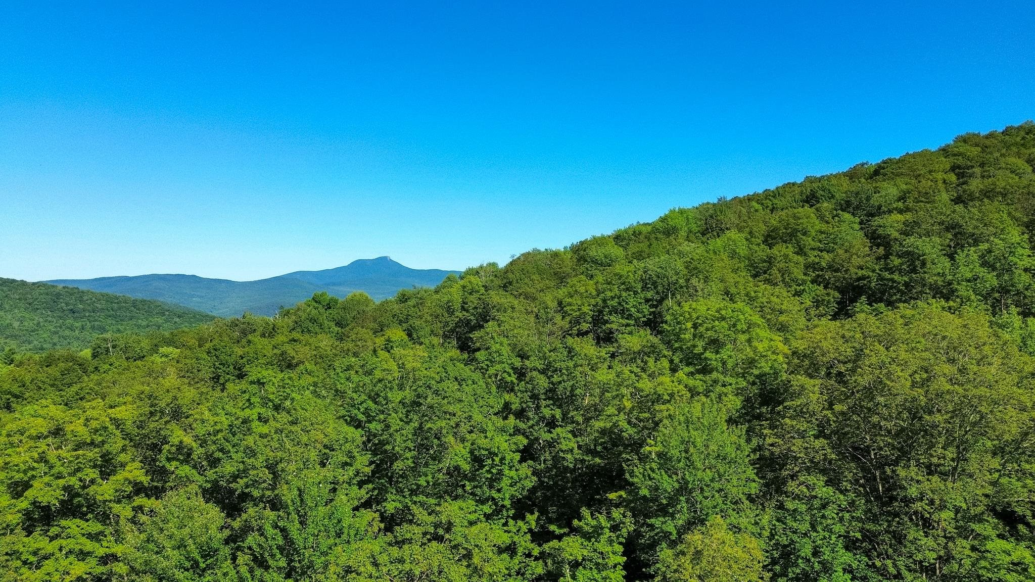 0 Beaver Pond Road Hinesburg, VT 05461 - Photo 15 of 16 Gallery Image 15