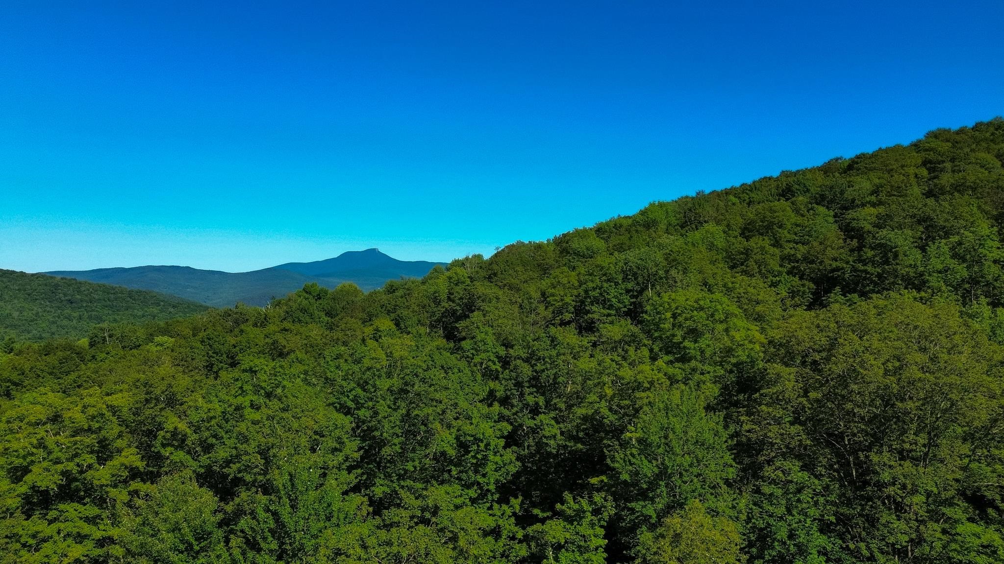 0 Beaver Pond Road Hinesburg, VT 05461 - Photo 16 of 16 Gallery Image 16