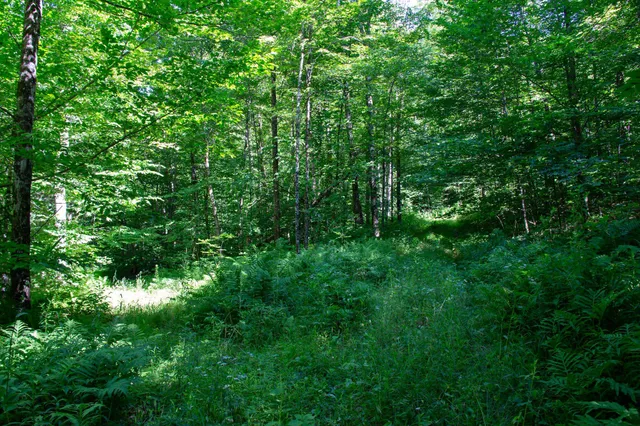 $199,000 | 0 Beaver Pond Road, Hinesburg, VT 05461