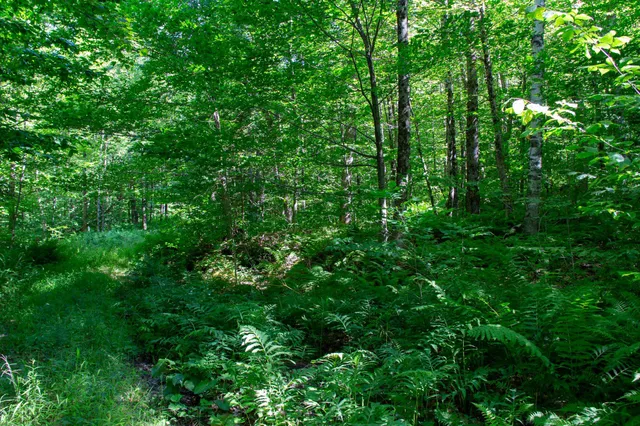 $199,000 | 0 Beaver Pond Road, Hinesburg, VT 05461