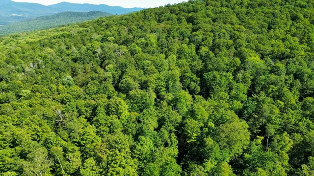 $199,000 | 0 Beaver Pond Road, Hinesburg, VT 05461