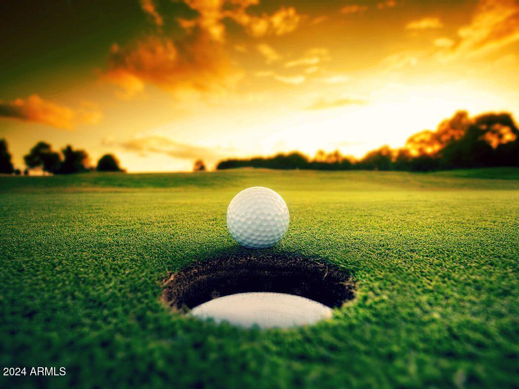 19777 North 76th Street, Unit 1305 Scottsdale, AZ 85255 - Photo 36 of 44 z10 - I Golf Ball