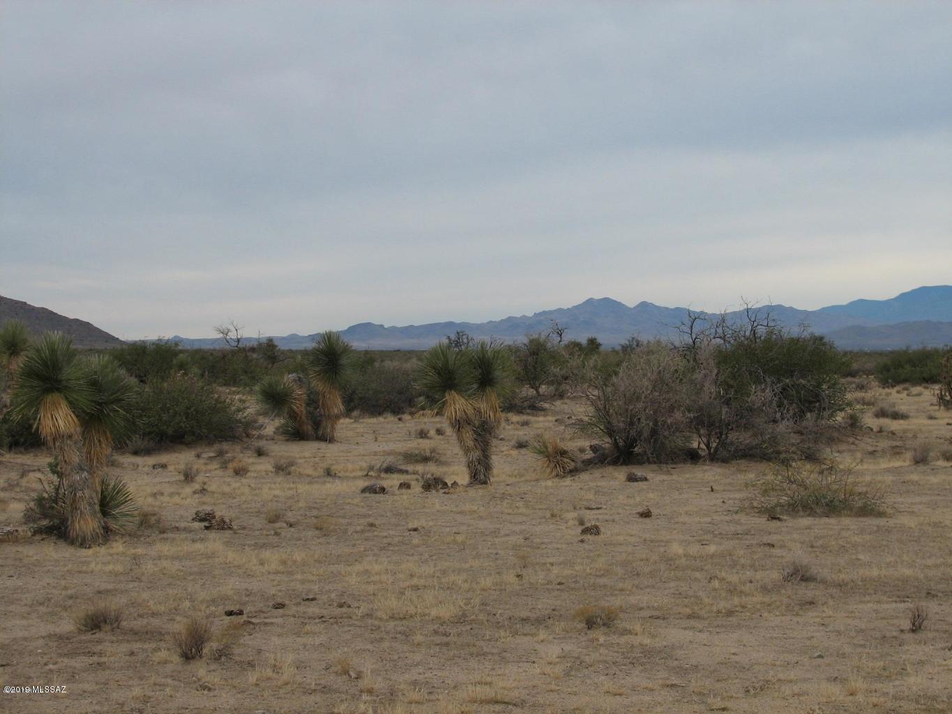63.27-acre East Soaptree Road Bowie, AZ 85605 - Photo 2 of 5
