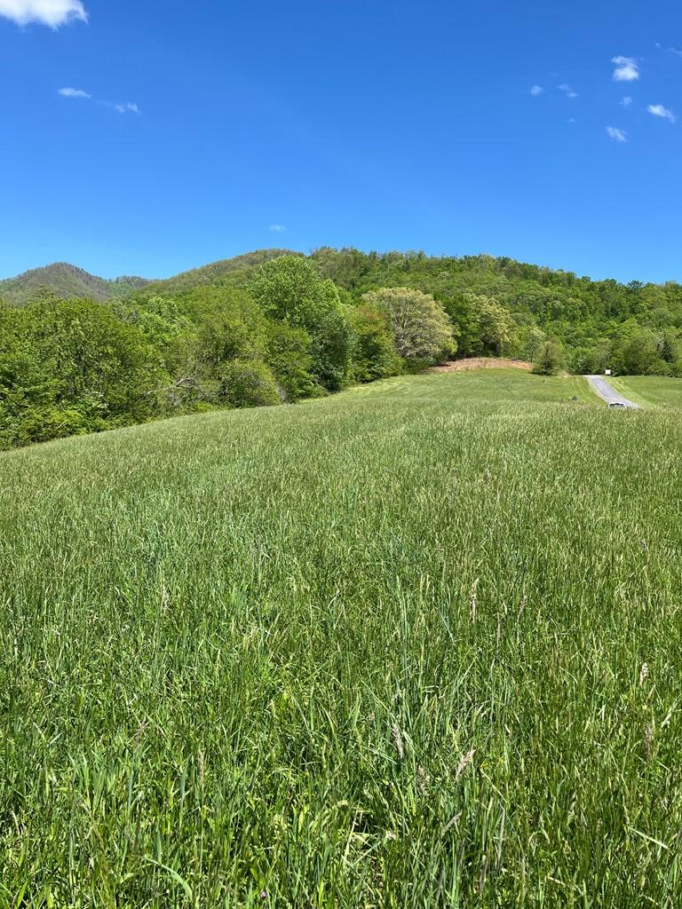 Lot 2 M Ridges Hayesville, NC 28904 - Photo 1 of 11 Main View