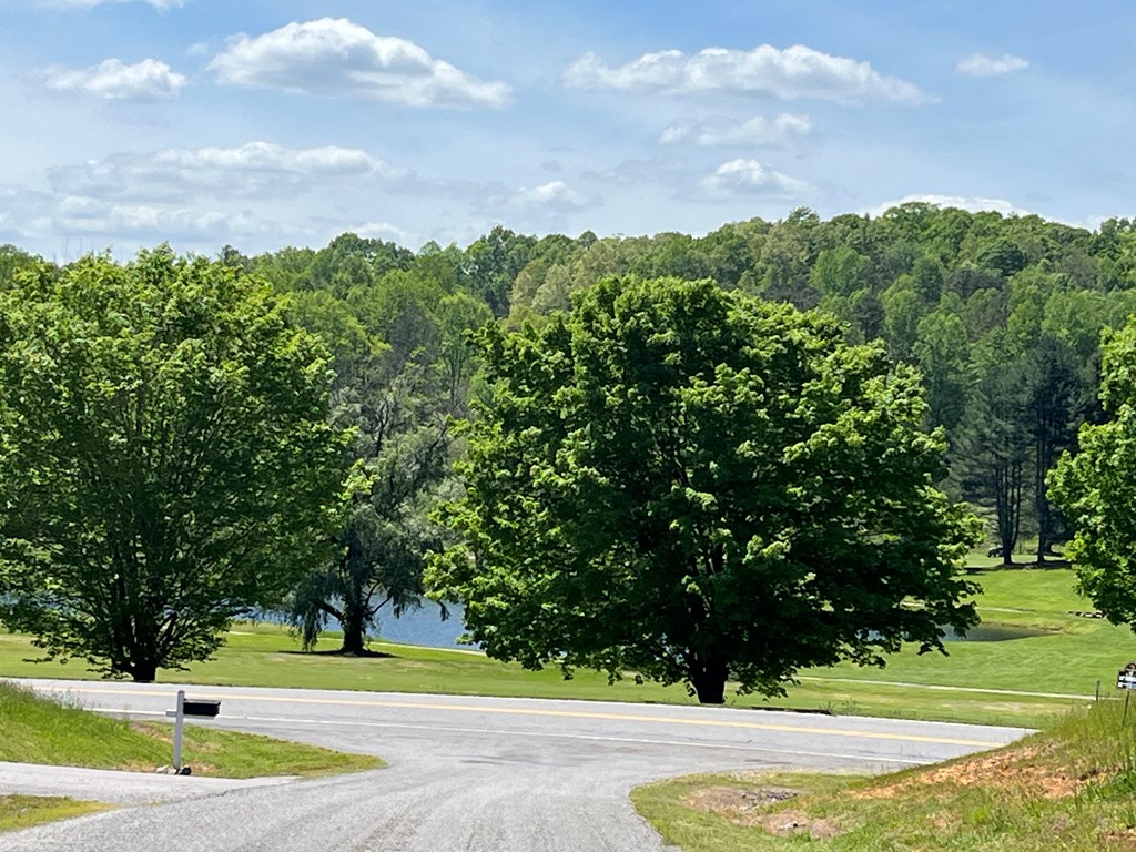 Lot 2 M Ridges Hayesville, NC 28904 - Photo 11 of 11 Gallery Image 11