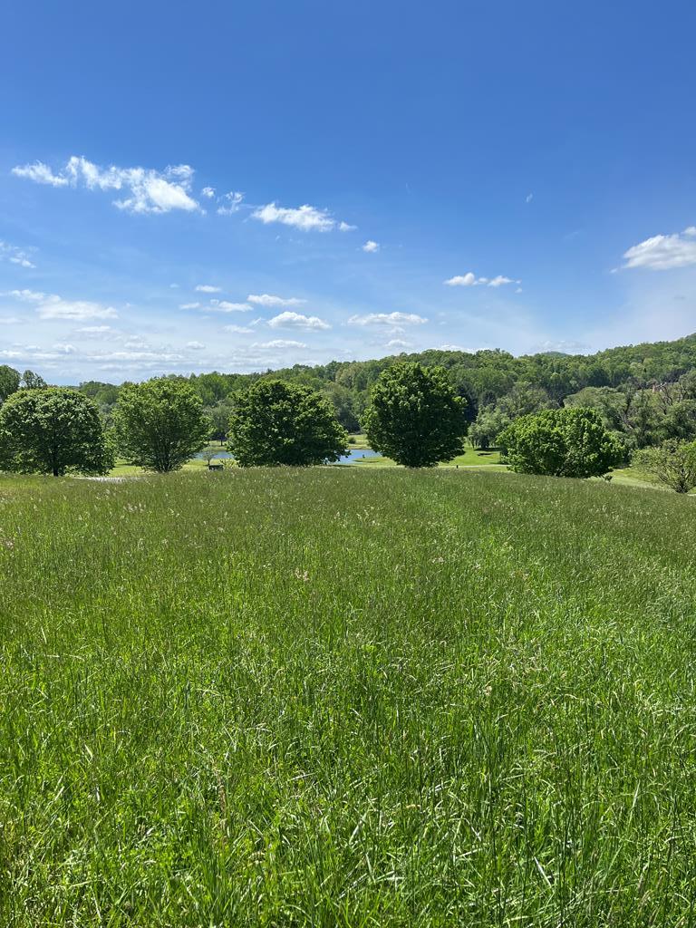Lot 2 M Ridges Hayesville, NC 28904 - Photo 2 of 11 Gallery Image 2