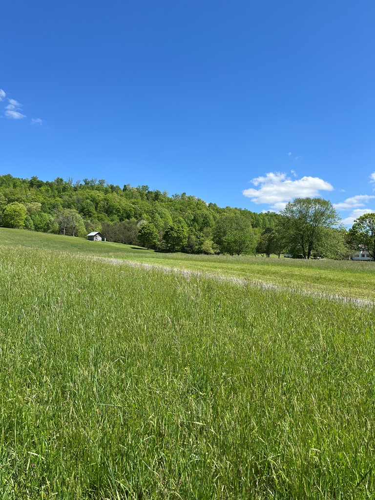 Lot 2 M Ridges Hayesville, NC 28904 - Photo 3 of 11 Gallery Image 3