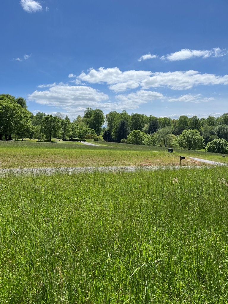 Lot 2 M Ridges Hayesville, NC 28904 - Photo 4 of 11 Gallery Image 4