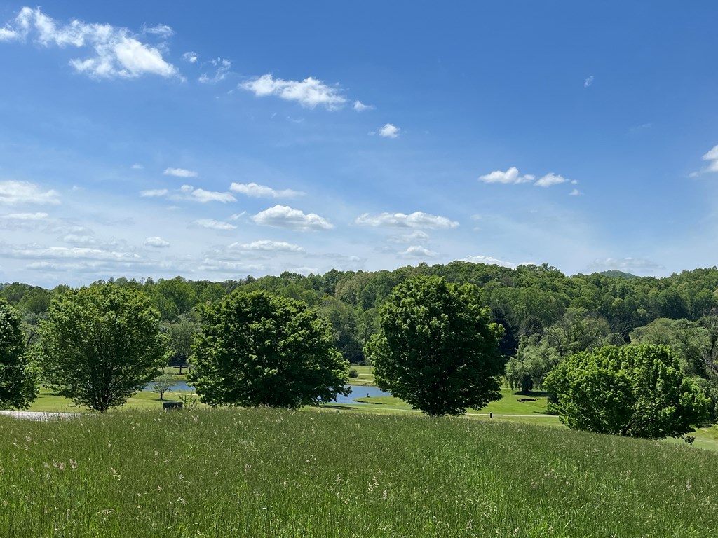 Lot 2 M Ridges Hayesville, NC 28904 - Photo 5 of 11 Gallery Image 5