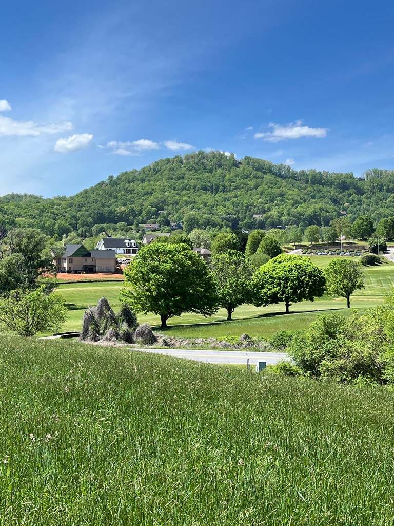 Lot 2 M Ridges Hayesville, NC 28904 - Photo 6 of 11 Gallery Image 6