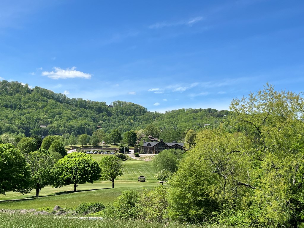 Lot 2 M Ridges Hayesville, NC 28904 - Photo 7 of 11 Gallery Image 7
