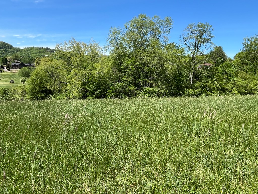 Lot 2 M Ridges Hayesville, NC 28904 - Photo 8 of 11 Gallery Image 8