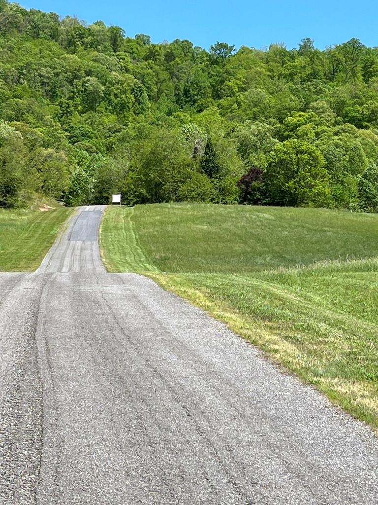 Lot 2 M Ridges Hayesville, NC 28904 - Photo 10 of 11 Gallery Image 10