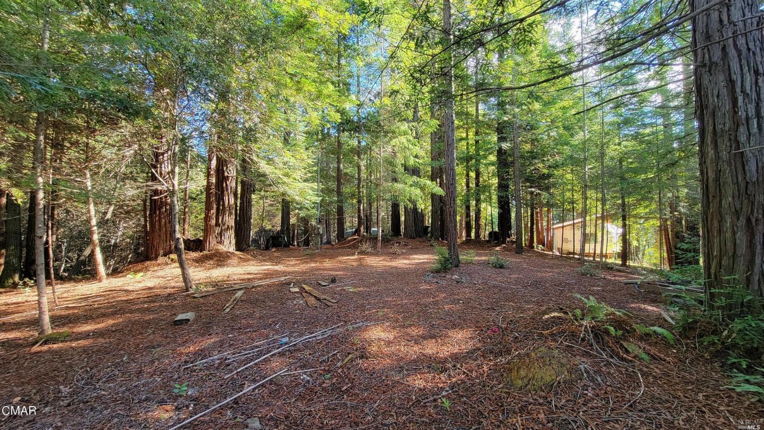 12301 Docker Hill Road Comptche, CA 95427 - Photo 11 of 14 a view of outdoor space with tree s