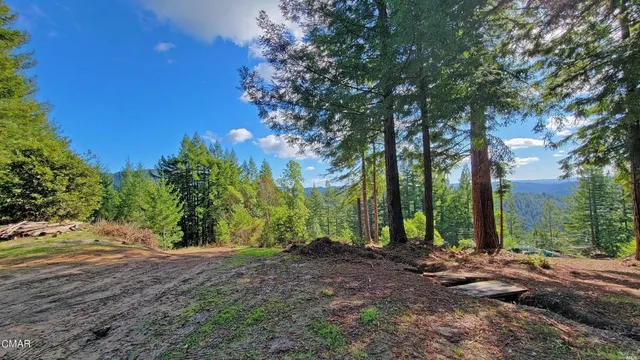 a view of backyard with green space