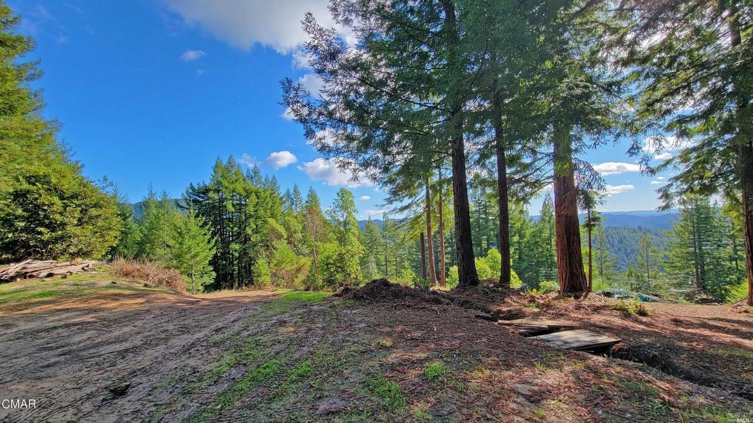 12301 Docker Hill Road Comptche, CA 95427 - Photo 2 of 14 a view of backyard with green space