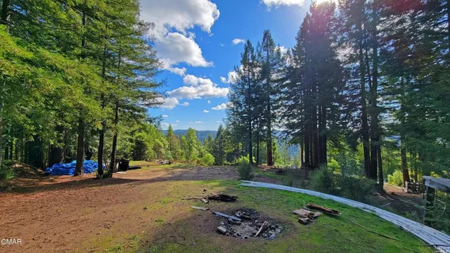 a view of street with tall trees