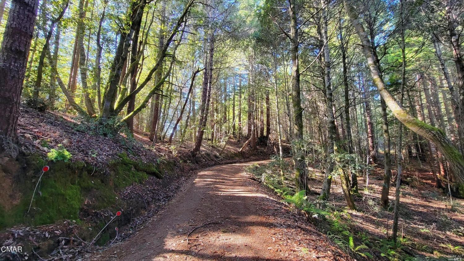 12301 Docker Hill Road Comptche, CA 95427 - Photo 7 of 14 a view of yard