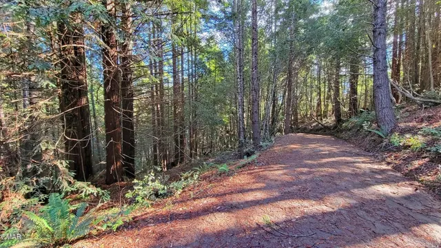a house with trees in front of it
