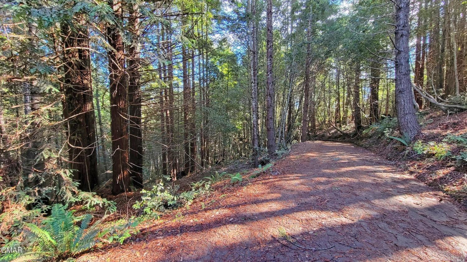 12301 Docker Hill Road Comptche, CA 95427 - Photo 9 of 14 a backyard of a house with lots of green space