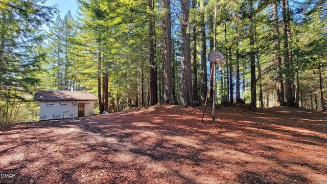 a view of outdoor space with tree s