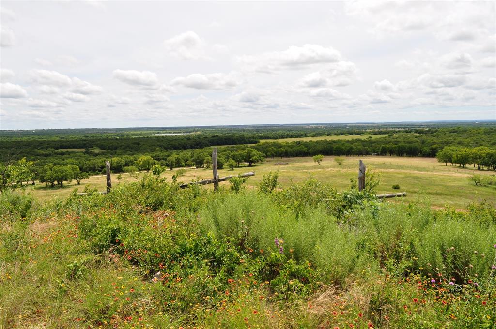 1849 2 Bush Road Perrin, TX 76486 - Photo 1 of 40