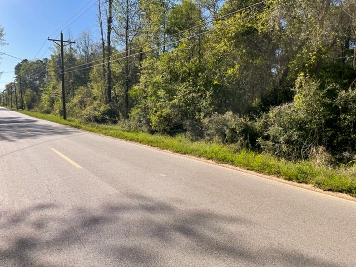 1 Sleepy Hollow Road Conroe, TX 77385 - Photo 9 of 10
