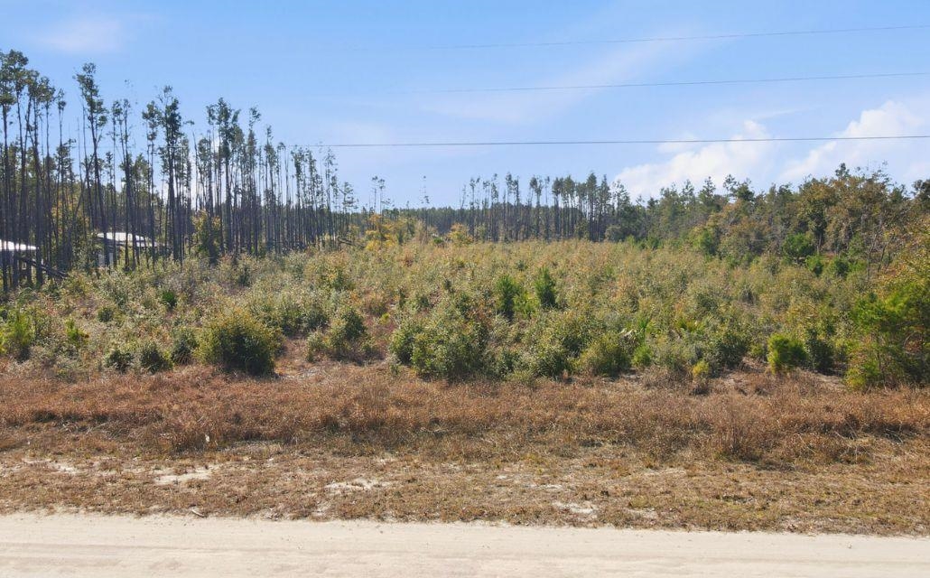 Tbd Ocean Pond Road Perry, FL 32348 - Photo 9 of 9