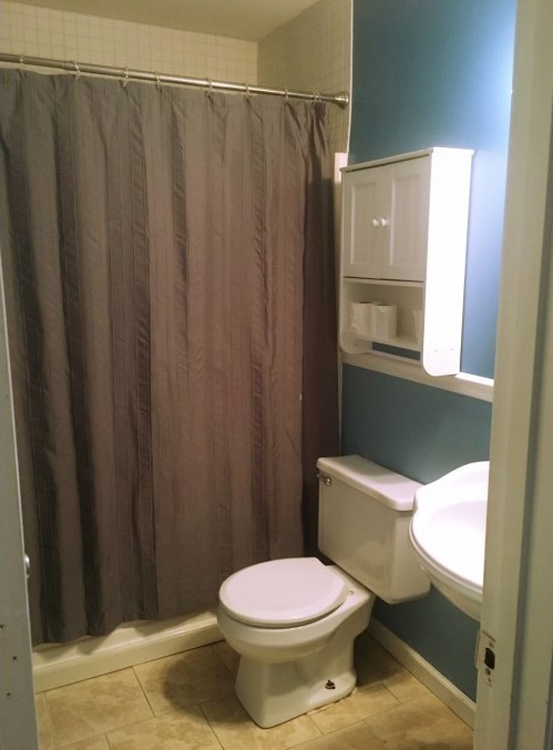 2306 Riverstone Drive Murfreesboro, TN 37128 - Photo 16 of 18 a bathroom with a toilet and a shower curtain