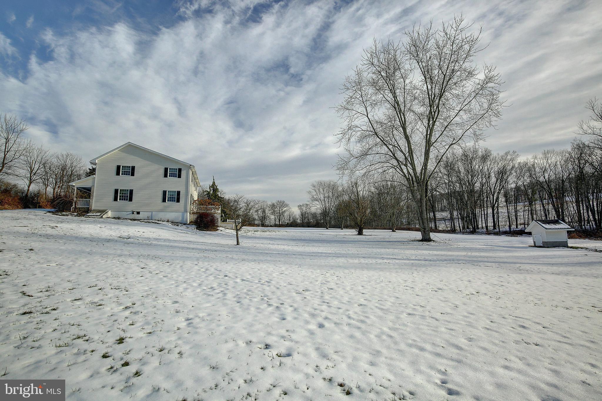 241 Earth Station Road Catawissa, PA 17820 - Photo 7 of 18 a view of road with large trees