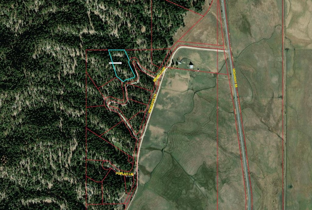 28 Rehn Loop, Unit 2 Cascade, ID 83611 - Photo 12 of 13 County Map